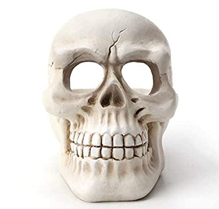 Resin Human Skull Ashtray Home Ornaments for Scary Halloween Decorations, Decorative Skulls, Skeletons Figurines for Bar Accessories, Smoking Room Decor for Smokers (Combo)3